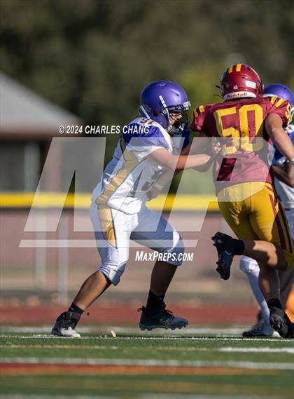 Thumbnail 3 in Armijo @ Cardinal Newman photogallery.