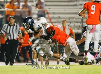 Thumbnail 2 in Taravella @ Piper photogallery.