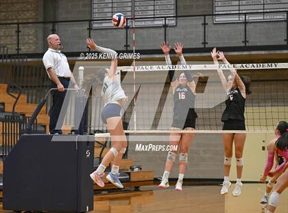 Thumbnail 3 in Walton @ Pace Academy photogallery.