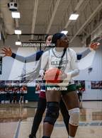 Photo from the gallery "Chaparral @ Ellison"
