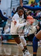Photo from the gallery "Chaparral @ Ellison"