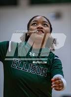 Photo from the gallery "Chaparral @ Ellison"