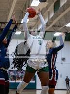 Photo from the gallery "Chaparral @ Ellison"