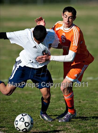 Thumbnail 1 in Poly @ JW North photogallery.