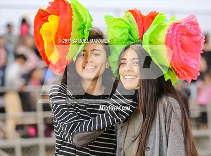 Thumbnail 1 in  Reseda @ Kennedy photogallery.