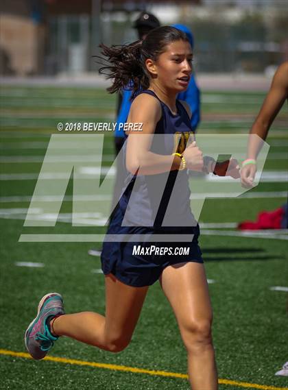 Thumbnail 1 in Golden League CIF Finals (Girls Distance) photogallery.