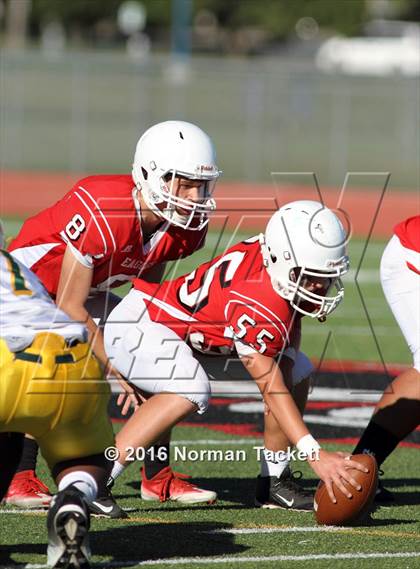 Thumbnail 2 in South @ Maize photogallery.