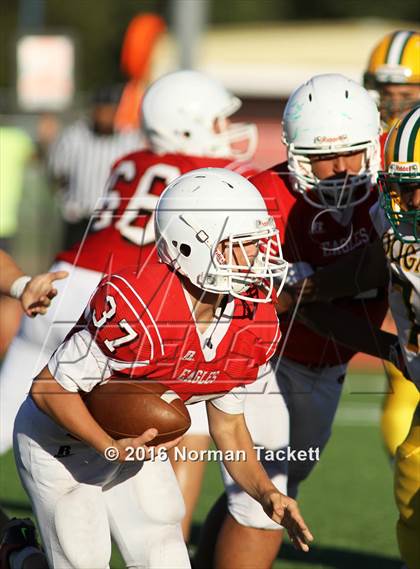 Thumbnail 3 in South @ Maize photogallery.
