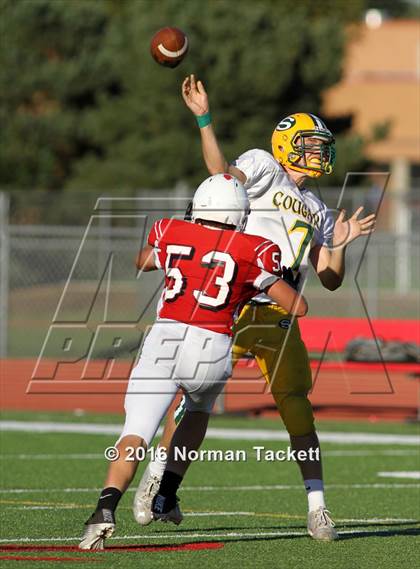Thumbnail 2 in South @ Maize photogallery.