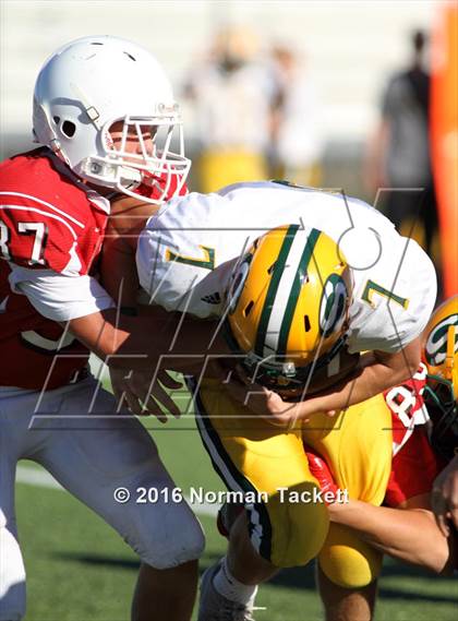 Thumbnail 3 in South @ Maize photogallery.