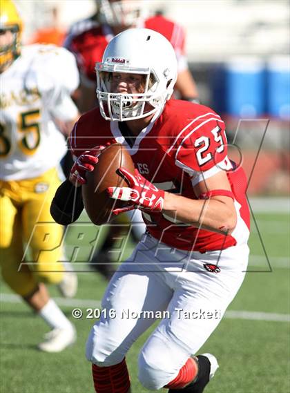 Thumbnail 1 in South @ Maize photogallery.