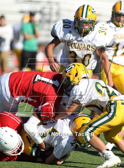 Thumbnail 1 in South @ Maize photogallery.