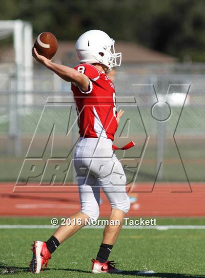 Thumbnail 1 in South @ Maize photogallery.