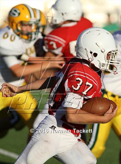 Thumbnail 1 in South @ Maize photogallery.