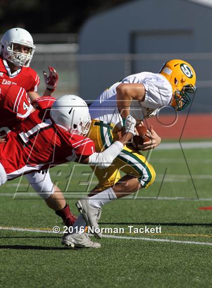 Thumbnail 2 in South @ Maize photogallery.