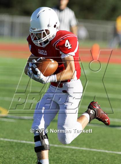 Thumbnail 1 in South @ Maize photogallery.