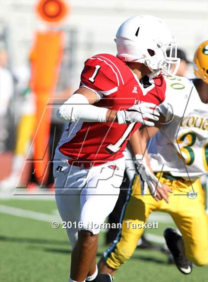 Thumbnail 3 in South @ Maize photogallery.