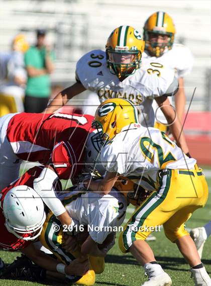 Thumbnail 3 in South @ Maize photogallery.