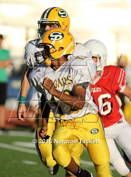 Thumbnail 1 in South @ Maize photogallery.