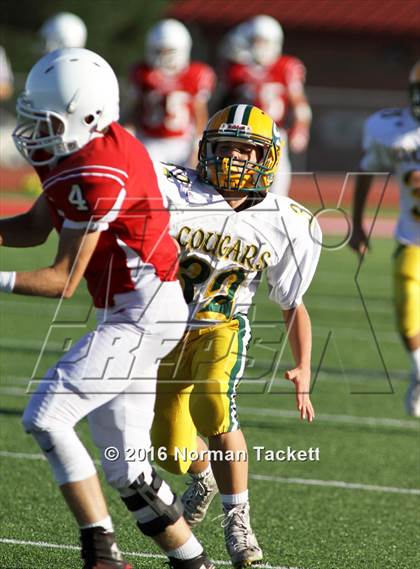 Thumbnail 3 in South @ Maize photogallery.