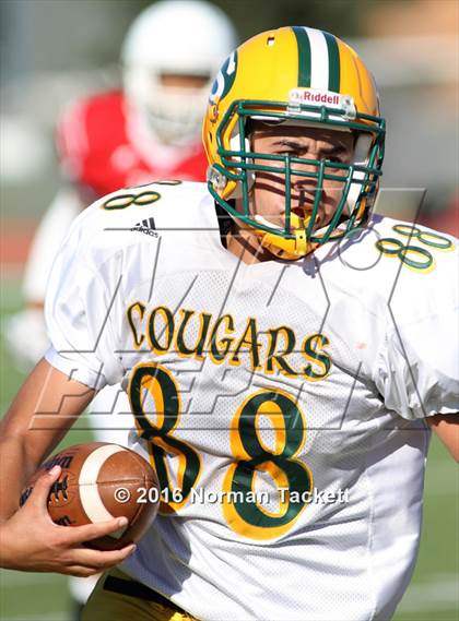 Thumbnail 1 in South @ Maize photogallery.