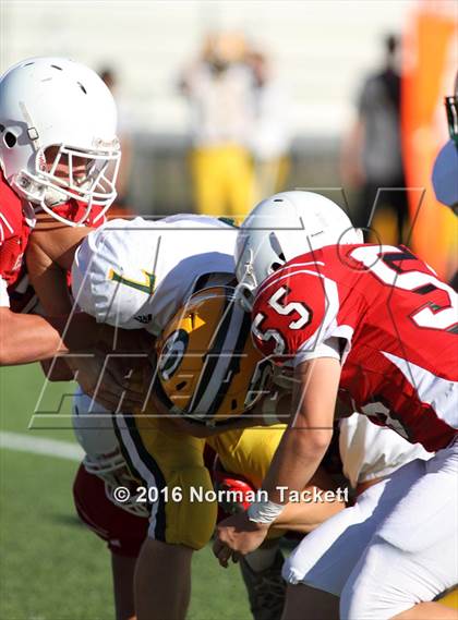 Thumbnail 1 in South @ Maize photogallery.