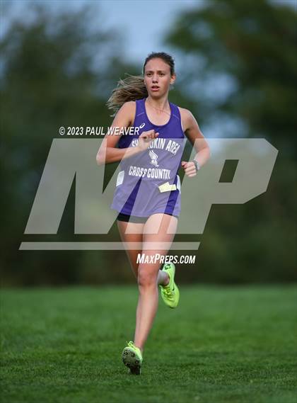 Thumbnail 1 in PHAC Race Day 6 @ Danville photogallery.