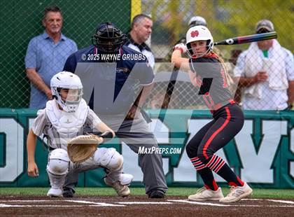 Thumbnail 2 in North DeSoto @ Calvary Baptist Academy photogallery.