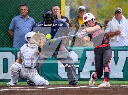 Thumbnail 3 in North DeSoto @ Calvary Baptist Academy photogallery.