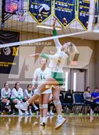 Photo from the gallery "Harrells Christian Academy @ Northwood Temple Academy"