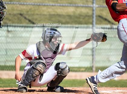 Thumbnail 1 in Chaparral @ Ponderosa photogallery.
