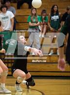 Photo from the gallery "Panther Creek @ Green Hope"