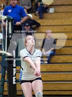 Photo from the gallery "Panther Creek @ Green Hope"