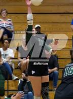 Photo from the gallery "Panther Creek @ Green Hope"