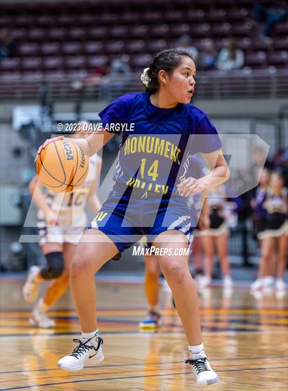 Thumbnail 2 in Wayne vs. Monument Valley (UHSAA 1A Quarterfinal) photogallery.