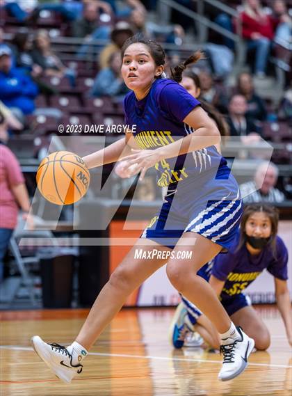 Thumbnail 1 in Wayne vs. Monument Valley (UHSAA 1A Quarterfinal) photogallery.