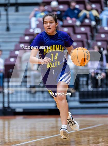 Thumbnail 2 in Wayne vs. Monument Valley (UHSAA 1A Quarterfinal) photogallery.