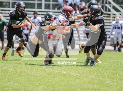 Thumbnail 1 in Weeki Wachee vs Wiregrass Ranch (Scrimmage) photogallery.