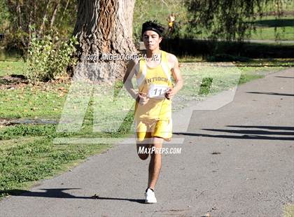 Thumbnail 2 in BVAL Boys Cross Country Championship photogallery.