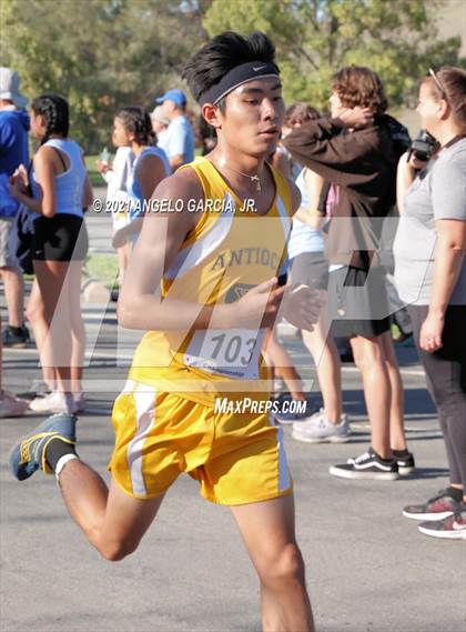 Thumbnail 2 in BVAL Boys Cross Country Championship photogallery.