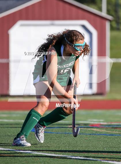 Thumbnail 3 in Spackenkill @ Kingston photogallery.
