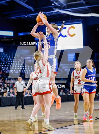 Thumbnail 1 in Briggsdale vs. McClave (CHSAA 1A Championship) photogallery.