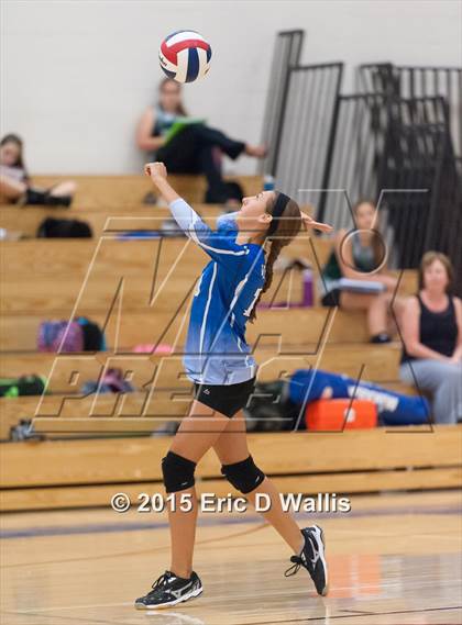 Thumbnail 1 in Minnechaug Regional @ West Springfield photogallery.