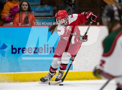 Thumbnail 1 in Pinkerton vs St. Thomas-Dover-Winnacunnet (NHIAA Semifinal) photogallery.