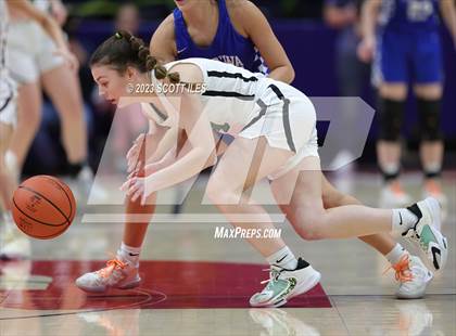 Thumbnail 1 in Chippewa vs. Margaretta (OHSAA D3 State Semifinal) photogallery.