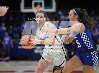 Thumbnail 1 in Chippewa vs. Margaretta (OHSAA D3 State Semifinal) photogallery.