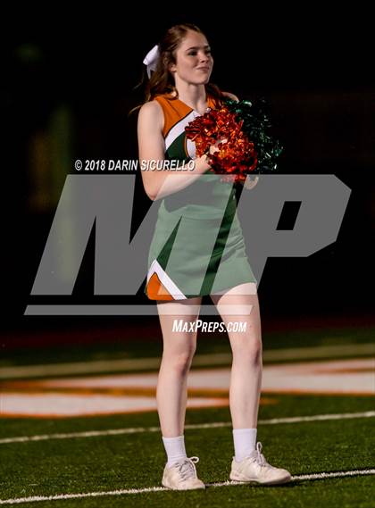 Thumbnail 2 in Horizon @ Campo Verde photogallery.