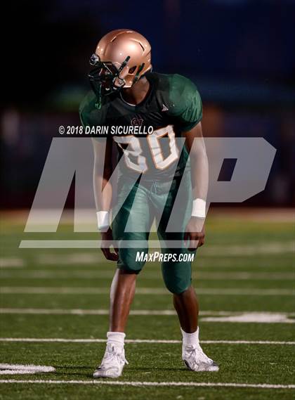Thumbnail 3 in Horizon @ Campo Verde photogallery.