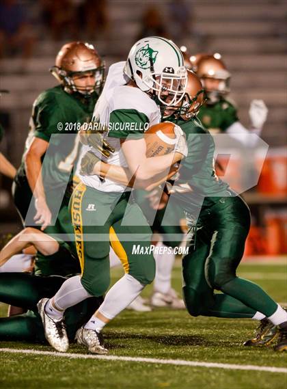 Thumbnail 1 in Horizon @ Campo Verde photogallery.