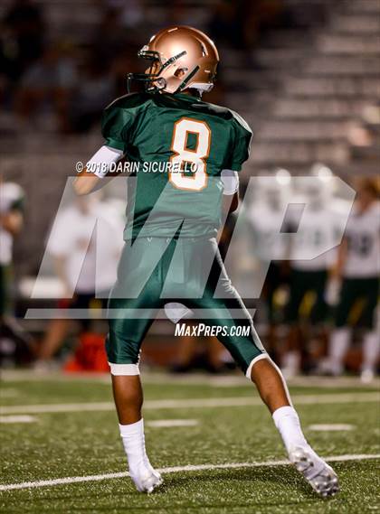Thumbnail 3 in Horizon @ Campo Verde photogallery.